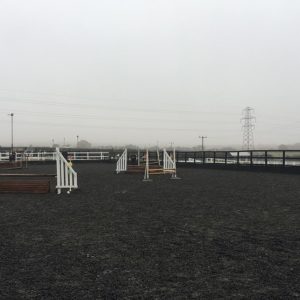 arena_one_day_event