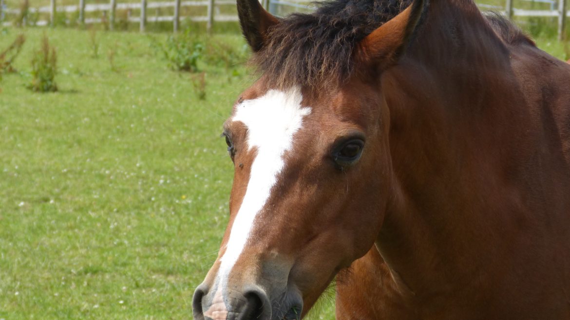Tilly