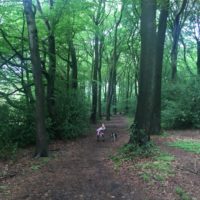 park 5